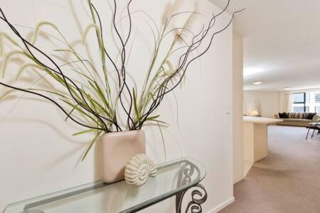 Oceanside Apartment Mount Maunganui Εξωτερικό φωτογραφία